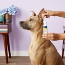 miracle-care-ear-powder-for-dogs-and-cat-3.jpg