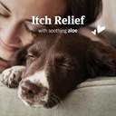 petarmor-ear-mite-treatment-for-dogs-ear-3.jpg