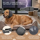 hofi-noise-protection-ear-covers-for-dog-4.jpg