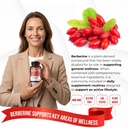 berberine-supplement-enhanced-with-ceylo-2.jpg