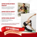 berberine-supplement-enhanced-with-ceylo-3.jpg