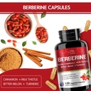 vpkin-berberine-supplement-berberine-wit-3.jpg