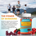 berberine-gummies-1200mg-with-ceylon-cin-2.jpg