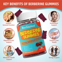 berberine-gummies-1200mg-with-ceylon-cin-3.jpg
