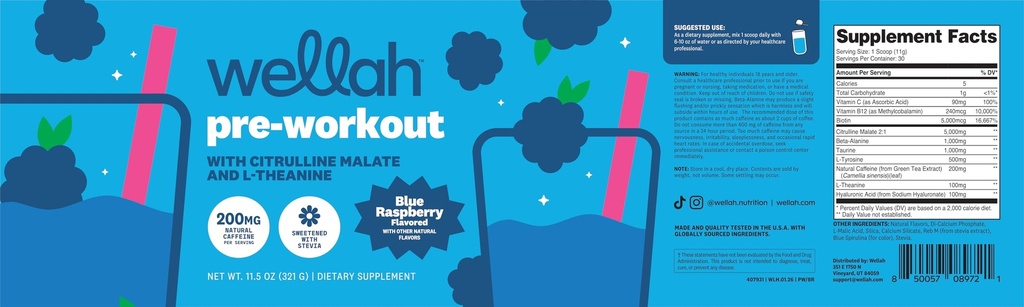 wellah-pre-workout-drink-mix-blue-raspbe-5.jpg