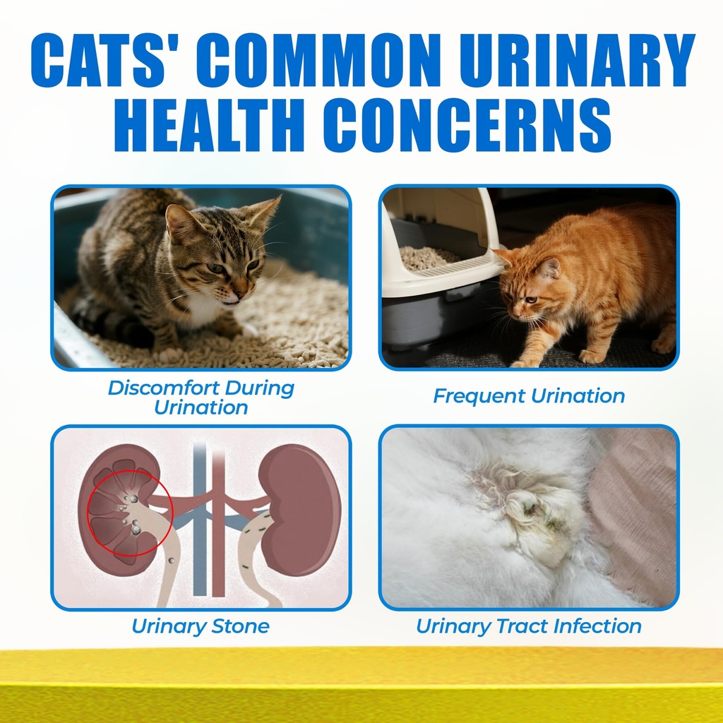 just-try-300-bites-6-35-oz-urinary-tract-2.jpg