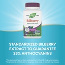 nature-s-way-bilberry-premium-extract-su-4.jpg