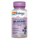 solaray-bilberry-berry-extract-60-mg-pow-2.jpg