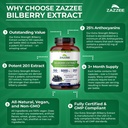 zazzee-extra-strength-bilberry-20-1-extr-5.jpg