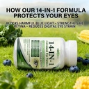 evervision-14-in-1-advanced-eye-formula--5.jpg