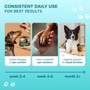 clear-vision-eye-vitamins-for-dogs-4-in--6.jpg