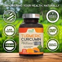turmeric-curcumin-supplement-2600mg-95-c-4.jpg