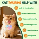 taurine-for-cat-vitamins-treat-70-days-s-3.jpg