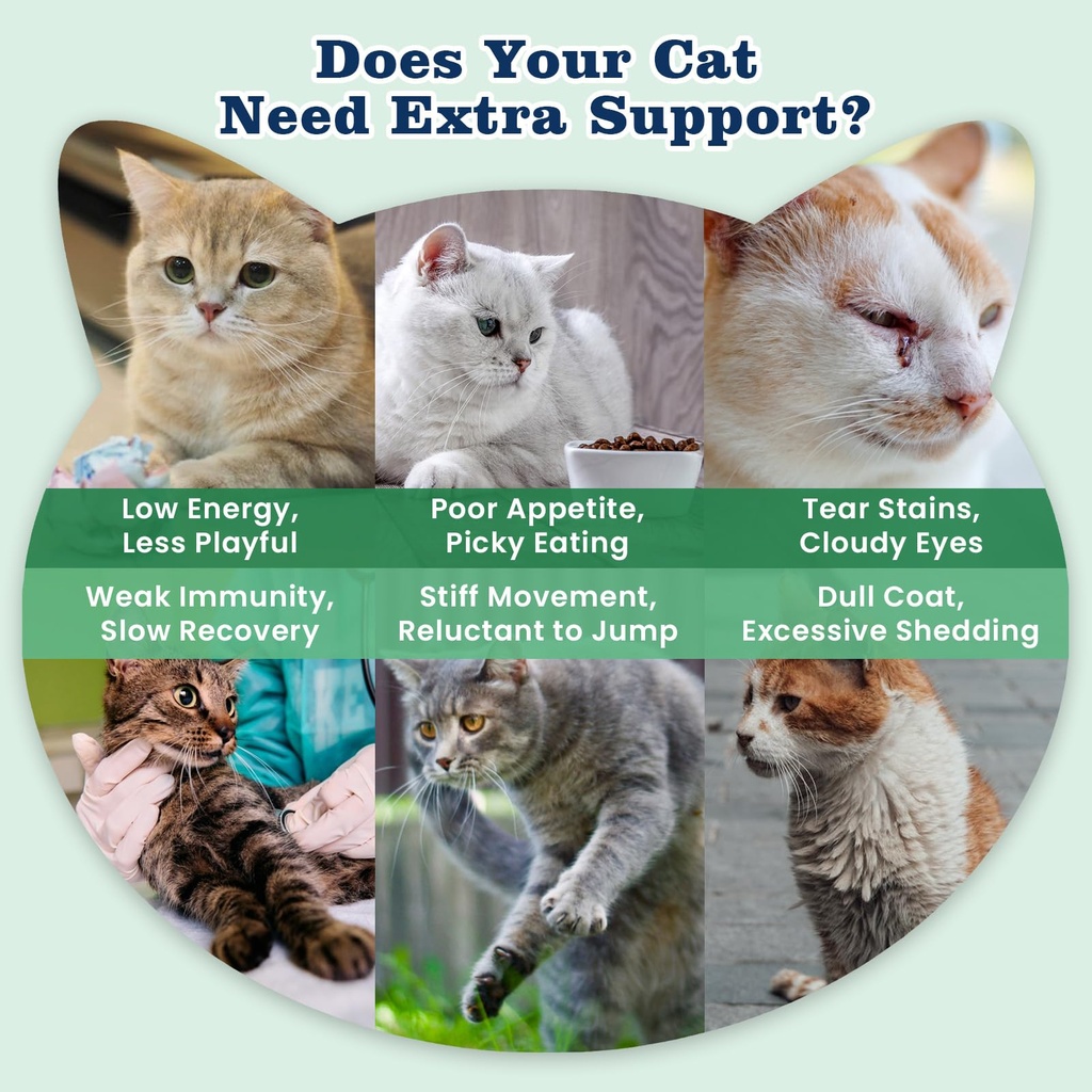 22-in-1-cat-multivitamin-chews-taurine-l-4.jpg