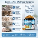 taurine-for-cats-vitamins-treats-snacks--2.jpg