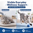 taurine-for-cats-vitamins-treats-snacks--6.jpg