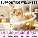 cat-15-in-1-multivitamin-chews-cat-treat-3.jpg