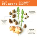 himalaya-floravani-herbal-digestive-heal-4.jpg