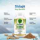 leafsource-shilajit-with-humic-fulvic-ac-5.jpg