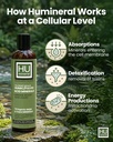 fulvic-acid-trace-minerals-drops-for-wat-3.jpg