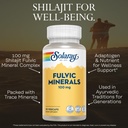 solaray-fulvic-minerals-100mg-shilajit-f-3.jpg