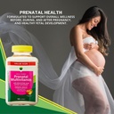 kp-prenatal-multivitamin-adult-gummy-wit-6.jpg