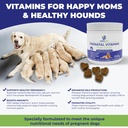 dog-prenatal-vitamins-supports-healthy-p-2.jpg