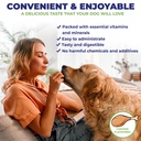 dog-prenatal-vitamins-supports-healthy-p-6.jpg