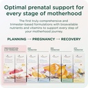 healthynest-preconception-1st-trimester--5.jpg