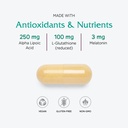 vitanica-ovum-p-m-vegan-30-capsules-4.jpg