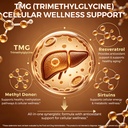 fanshi-nmn-supplement-high-purity-nad-pr-3.jpg