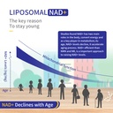 liposomal-nad-supplement-800mg-with-tmg--6.jpg