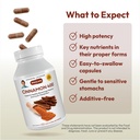 andrew-lessman-cinnamon-400mg-120-capsul-4.jpg
