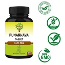 punarnava-tablets-90-tablets-1000-mg-45--5.jpg