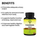 punarnava-tablets-90-tablets-1000-mg-45--6.jpg