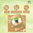 ayurvedashree-immunity-kwath-100-gm-with-3.jpg