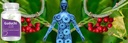 generic-pub-guduchi-giloy-tinospora-cord-3.jpg