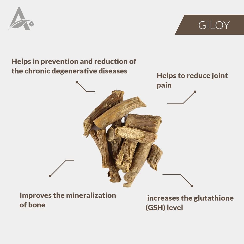 senta-giloy-guduchi-stem-cutting-tinospo-2.jpg