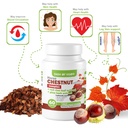 dash-of-vigor-12-in-1-horse-chestnut-ext-4.jpg