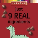 larabar-kids-bakes-chocolate-brownie-bar-4.jpg