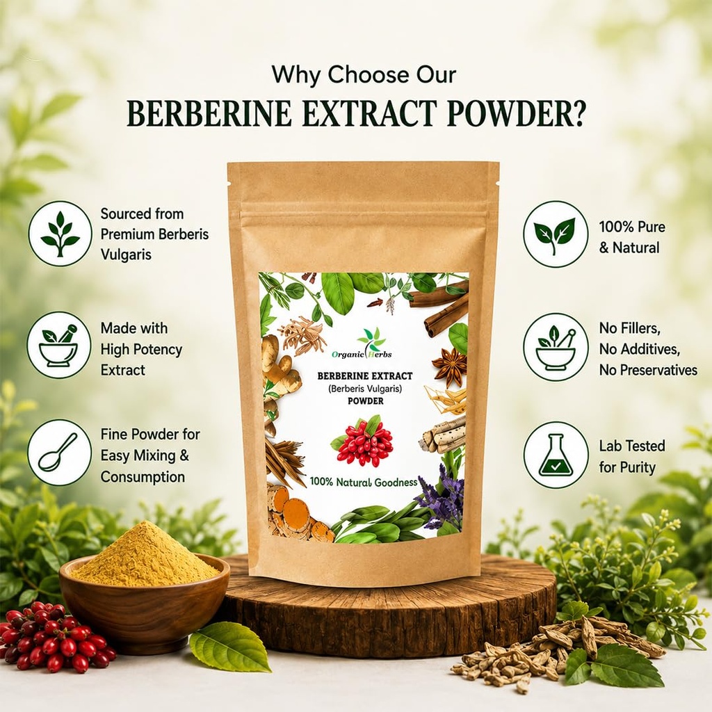 berberine-extract-powder-pure-berberis-v-5.jpg