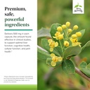 terry-naturally-berberine---dietary-supp-5.jpg