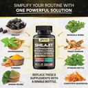shilajit-supplement-panax-ginseng-ashwag-3.jpg