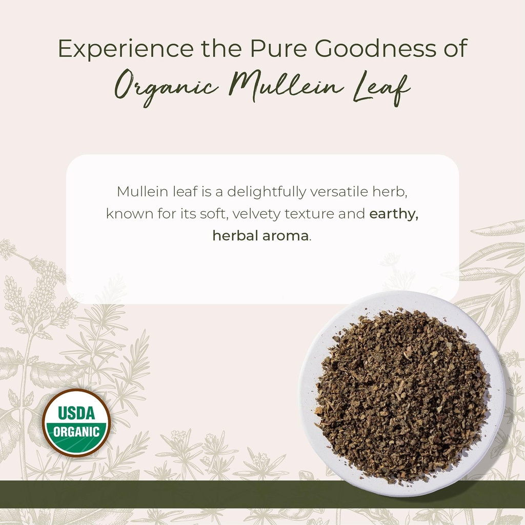 starwest-botanicals-organic-mullein-leaf-2.jpg