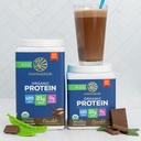 sunwarrior-organic-chocolate-warrior-ble-6.jpg