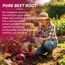 aceyo-beet-root-gummies-15-in-1-nitric-o-4.jpg