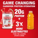 musclemeds-carnivor-protein-hydration-dr-3.jpg
