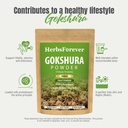 herbsforever-gokshura-tribulus-terrestri-6.jpg