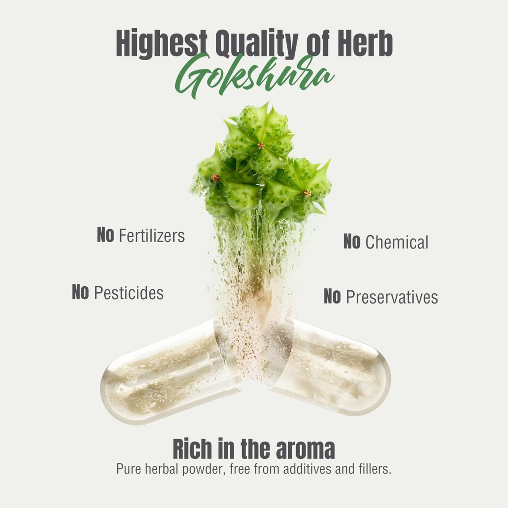 herbsforever-gokshura-tribulus-terrestri-6.jpg