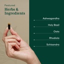 gaia-herbs-pro-daytime-hpa-adaptogen-sup-4.jpg